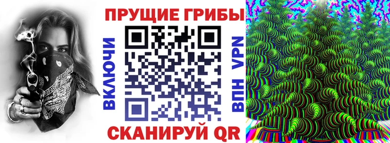 наркотики  Каспийск  Псилоцибиновые грибы Psilocybine cubensis 
